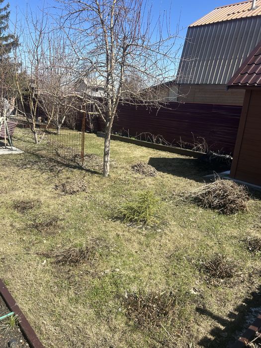 Уборка территории(демонтаж,разнорабочие) (благоустройство территории)