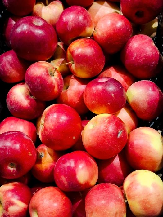 Яблоки Айдарет, Американка