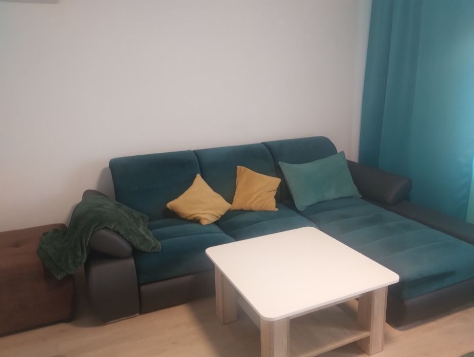 Proprietar inchiriez apartament Sebastian Rahova contr ANAF