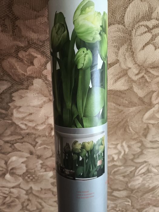 Фотообои 12.1-8.4 новые