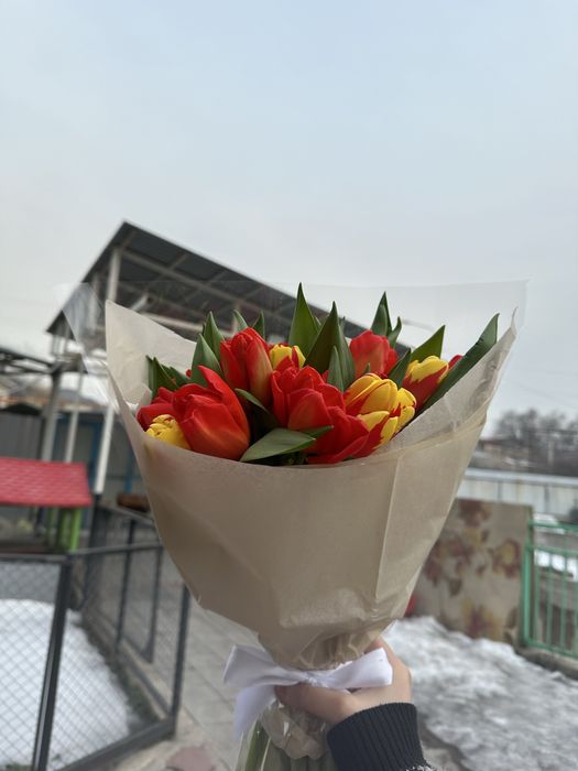 Тюльпаны в розницу и опт