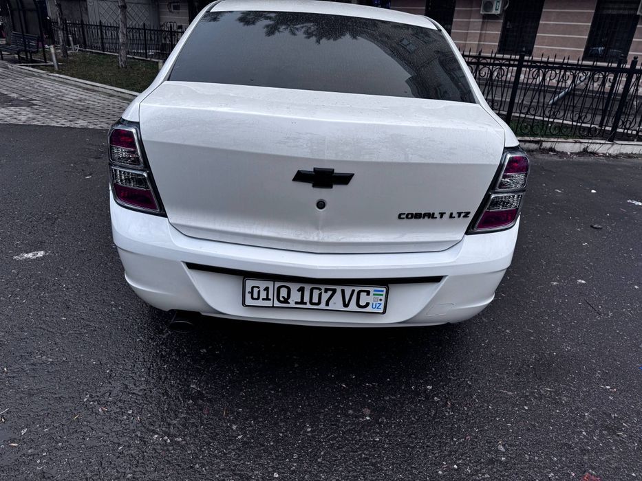 Cobalt   yili 2025