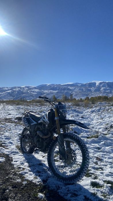 06 алматор 300куб