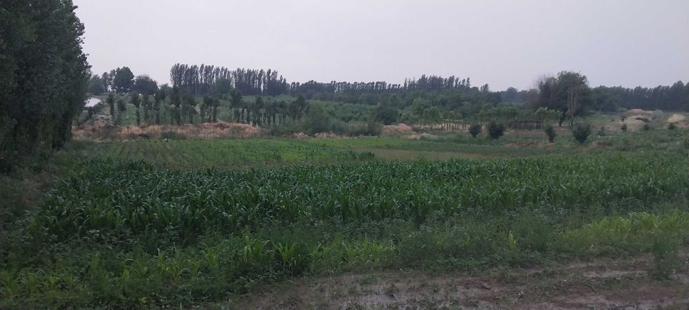 24 sotik quruq yer sotiladi