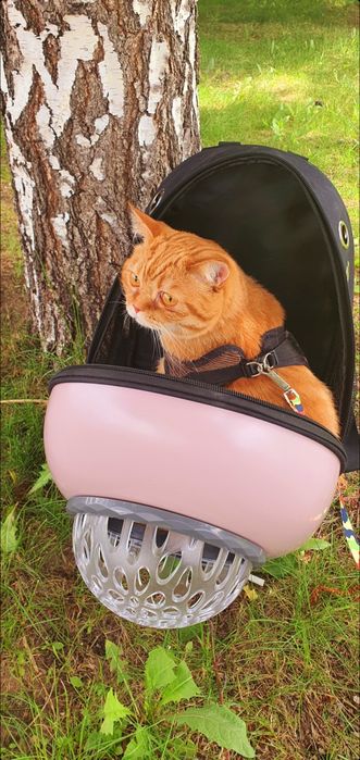 Рюкзак для кошек и питомцев