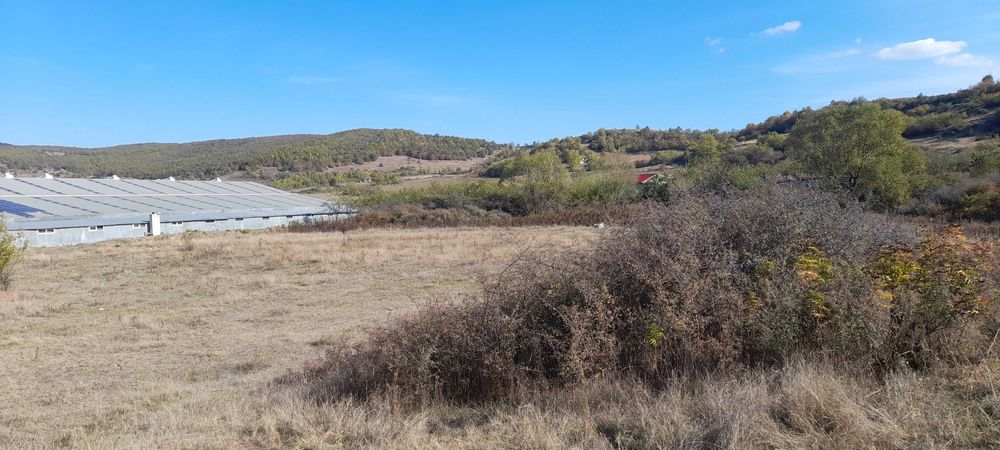 Продава се Магазин в Гоце Делчев - 10000 кв.м за 15 €/кв.м - Снимка #3