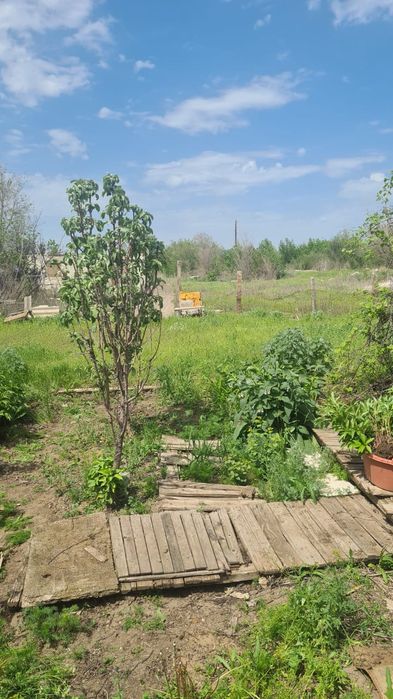 Продам дачу 12 соток.