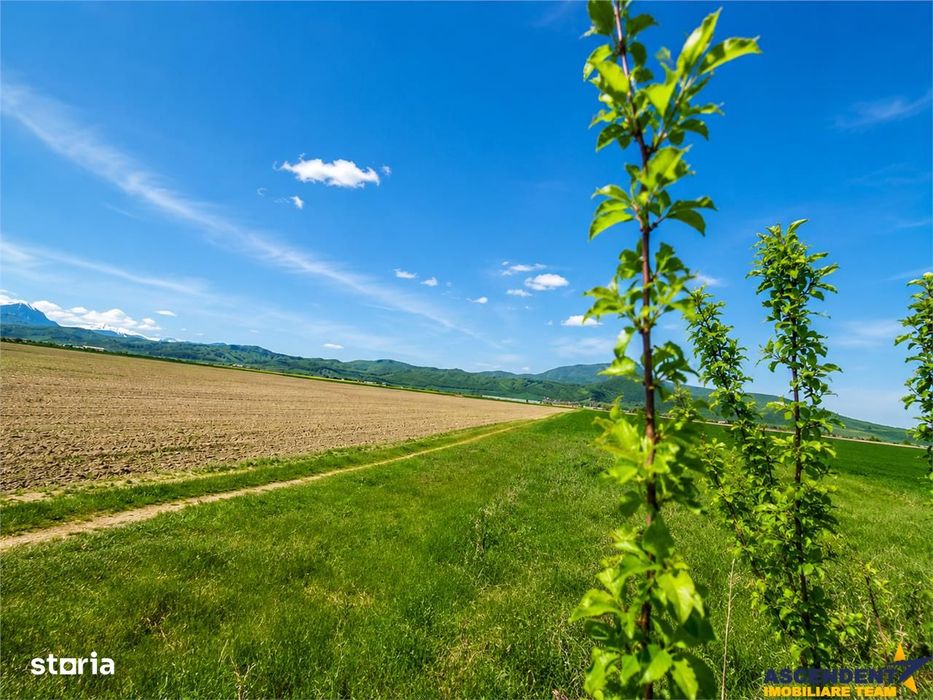 Oportunitate investitie! Teren 47.577 mp, Codlea .-. Ghimbav, pozitie