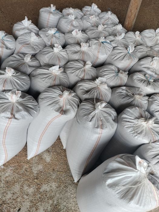 Vând cereale,porumb ,grau ,floare