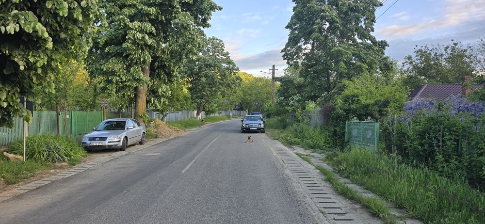 Vand casă in Sarata Monteoru   cu teren  1100mp.