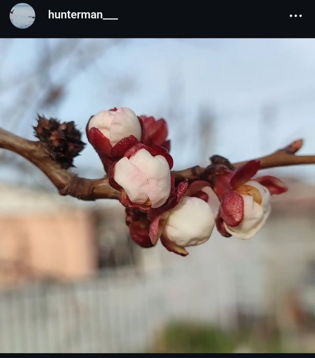 Canon 650 d + 70-300