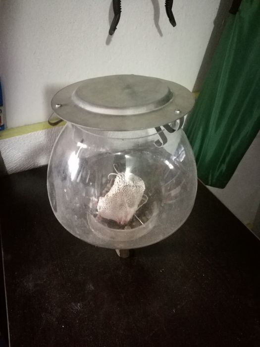 Газоф фенер