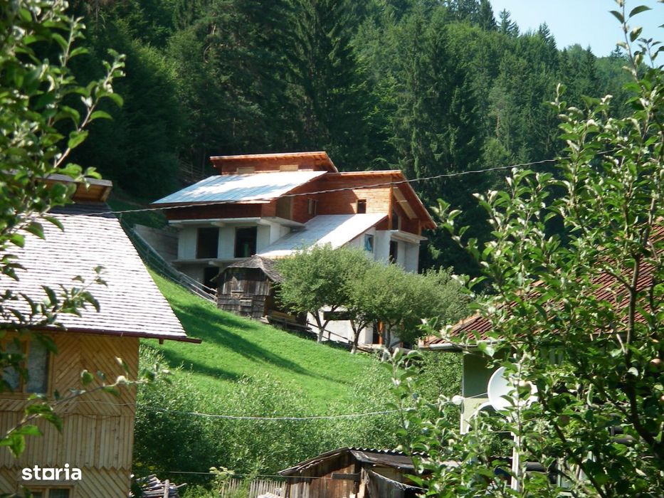 Vila Family/ Pensiune Dambovicioara Arges