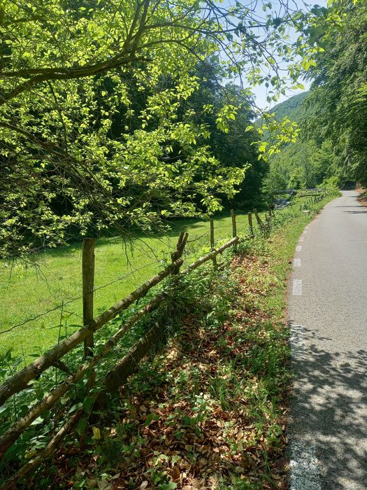 Teren de cabana pe Valea Recii( sat Strungari)