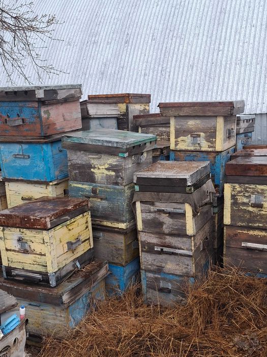Продам бу пчеловодческие улья