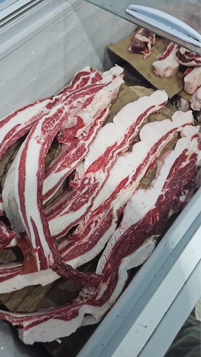 Продам согым сирактап