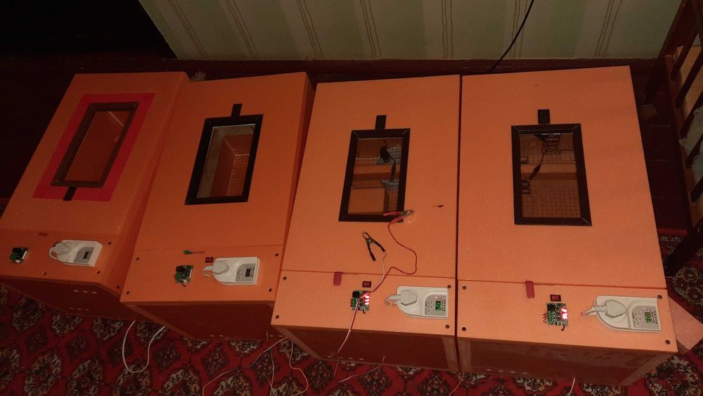 Инкубатор заказга