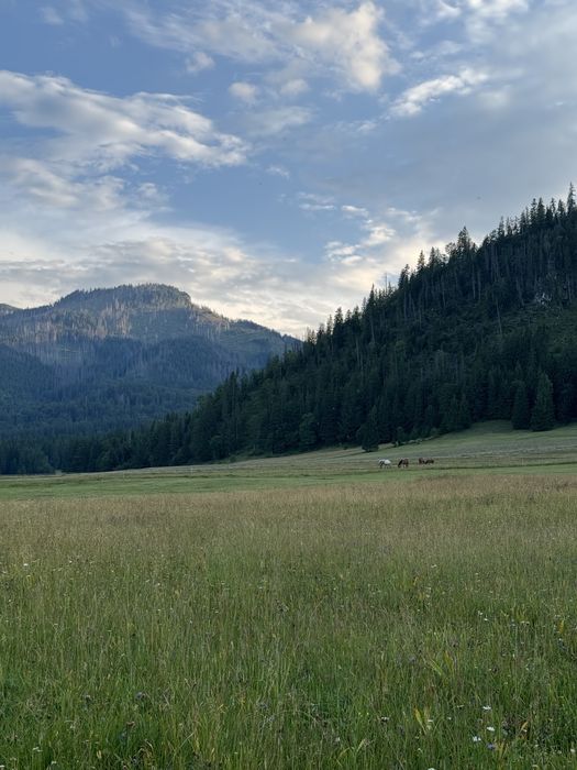Teren de vânzare - Trei Fântâni