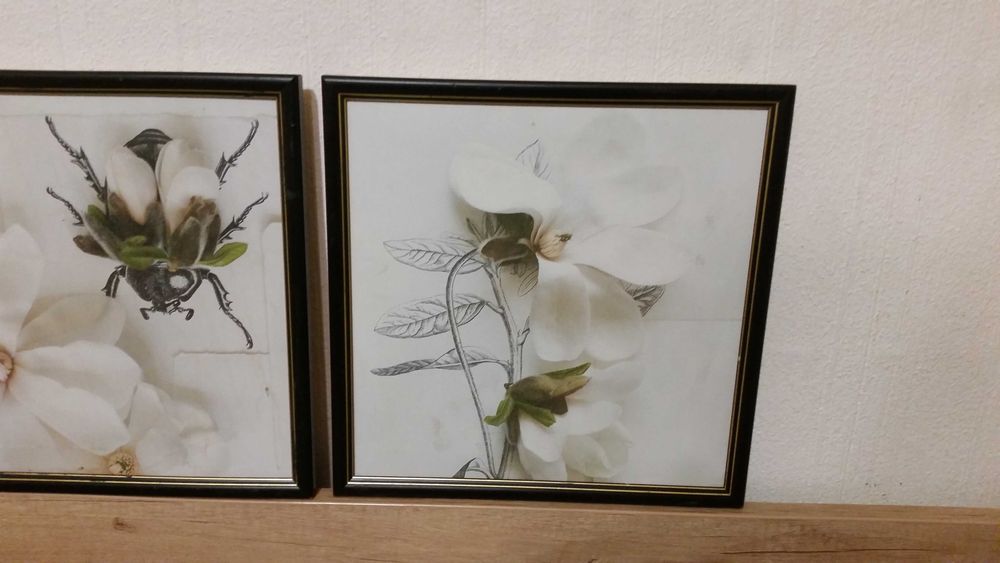 3 чудесни картини рисувани на платно.