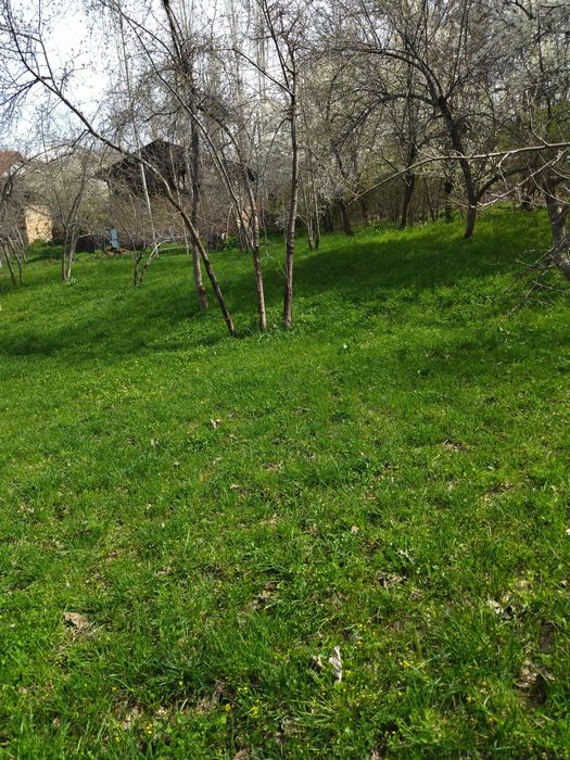 Yer bor srochka sotiladi