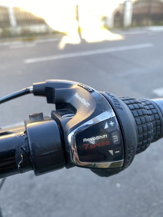 De vanzare giant in stare buna