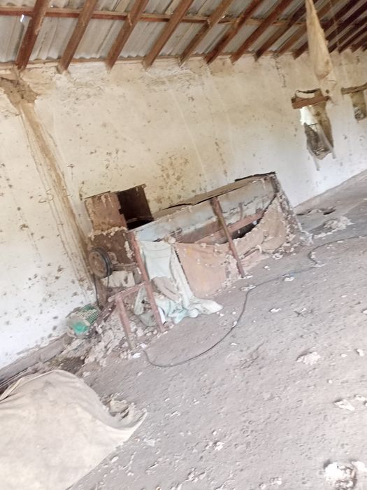 Tayyor biznes paxtasex