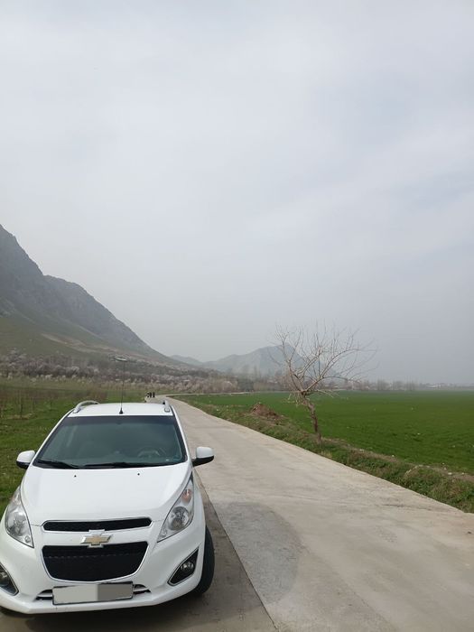 Real oladigonla aloqaga chiqinglar pul zarur