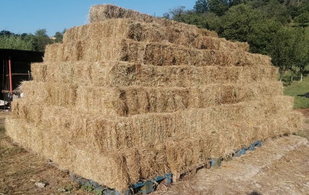 Vând baloți fân dreptunghiulari
