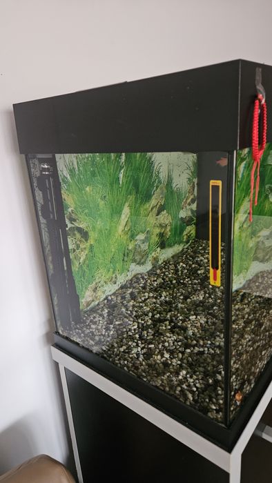 Vind acvariu Juwel rio 180