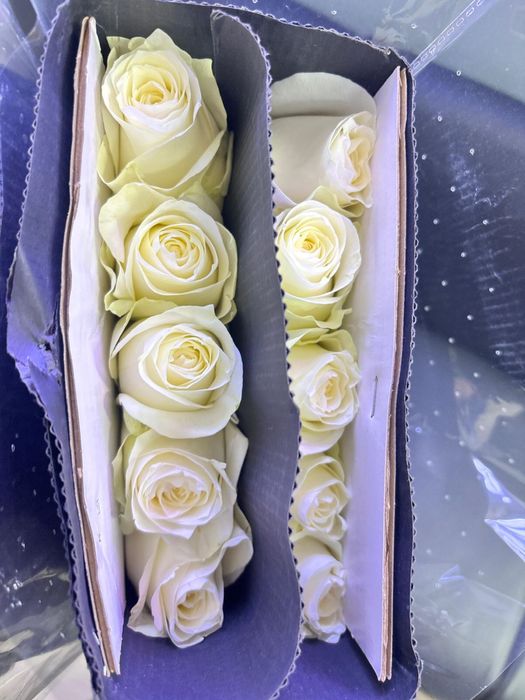 Цветы на 8 марта оптом и розница