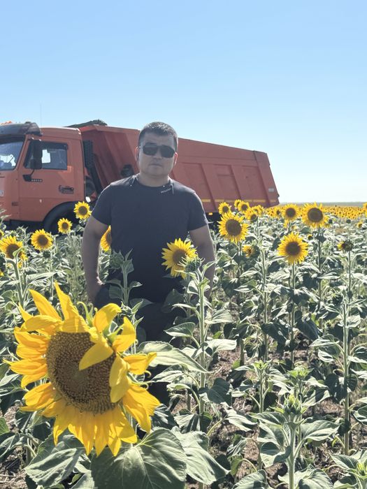 Услуги камаз самосавал