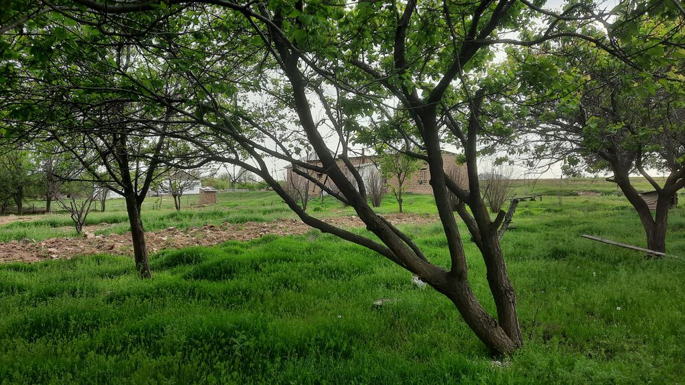 Үй сатылады Срочно