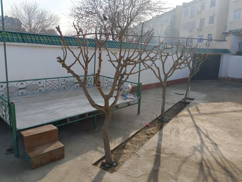 Срочно 3.6 сотихли ховли сотилади. Tezlikda Xovli sotiladi. 5 микрарай