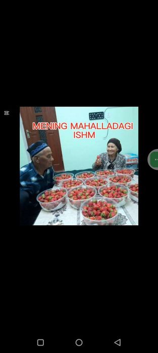 Yangi uzilgan qulupnay shirin va tabiiy