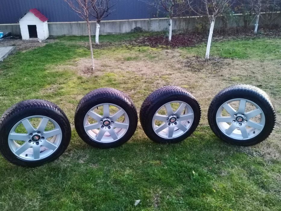 Roti de iarna  Audi, Ww