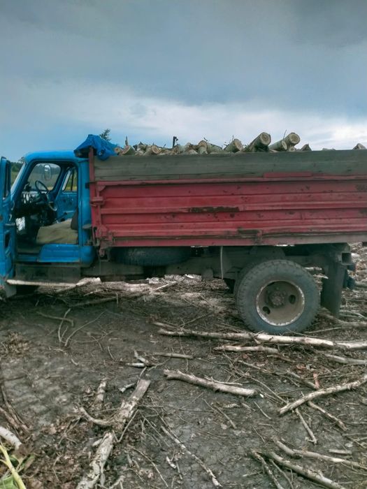 Дрова чурки тополь