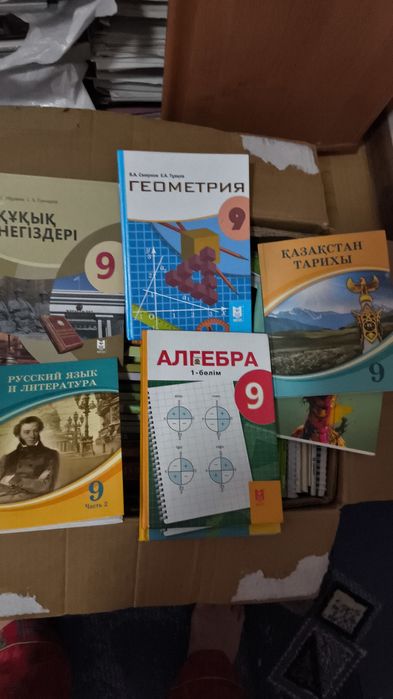 9 сынып кітаптары