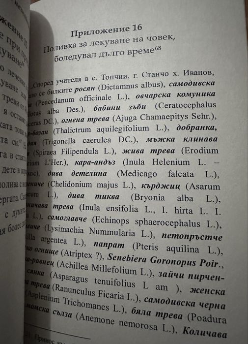 Ритуални измивания -Поливки