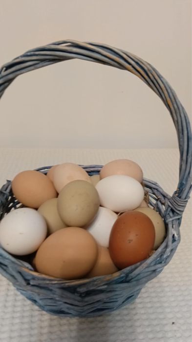 Домашние свежие яйца