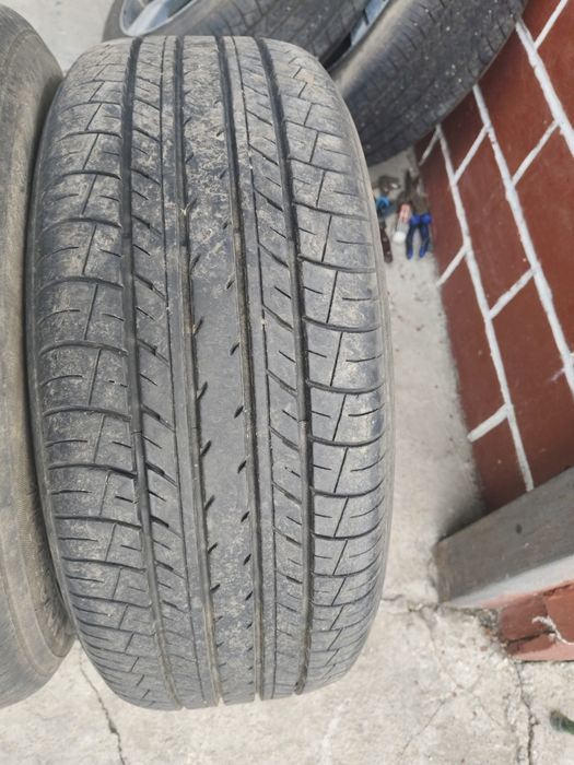 жаздык донгелектер