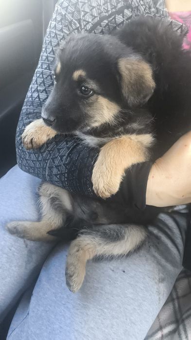 Очень красивые,классные мальчишки!