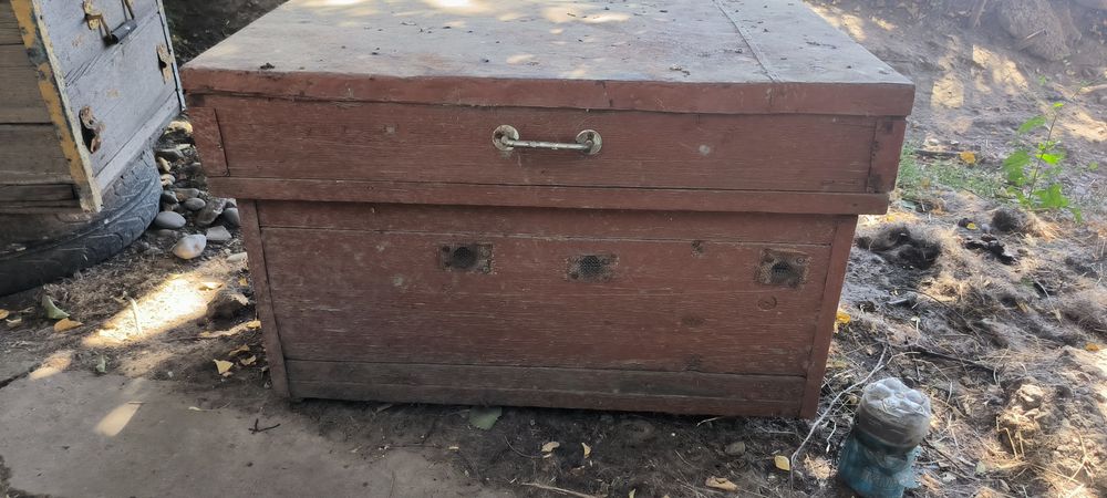 Улик для пчёл...
