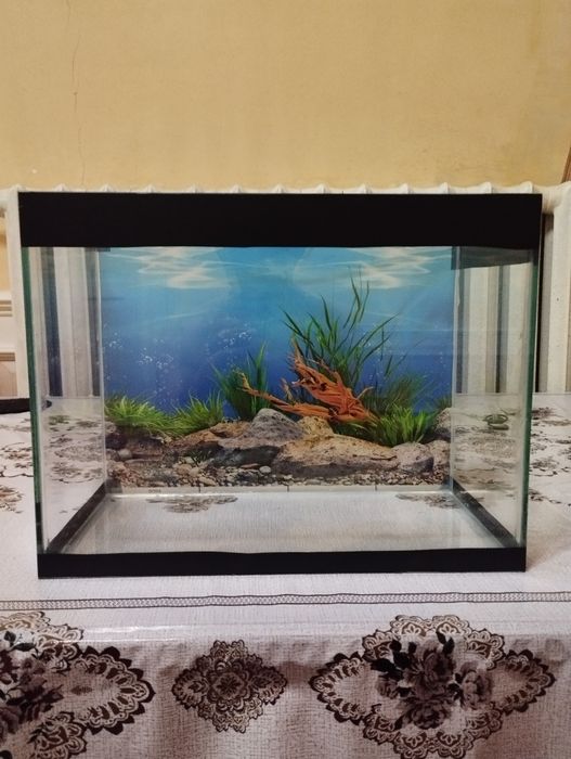 Akvarium barcha jixozlari bilan
