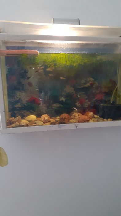 Продам Аквариум для рыбок