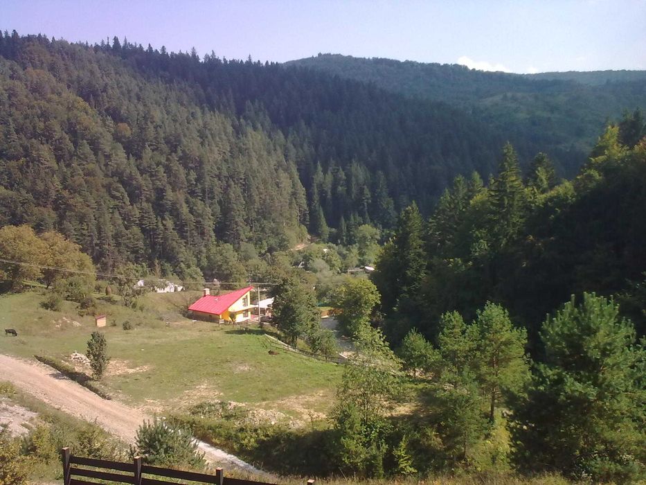 Teren cartier Batca Doamnei pretabil casute in regim hotelier