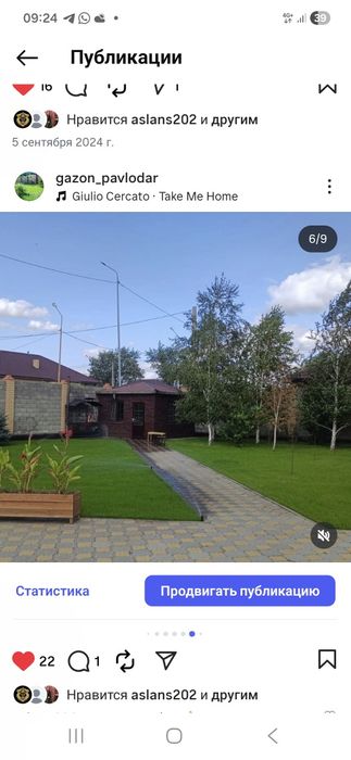 Семена газона , посадка газона