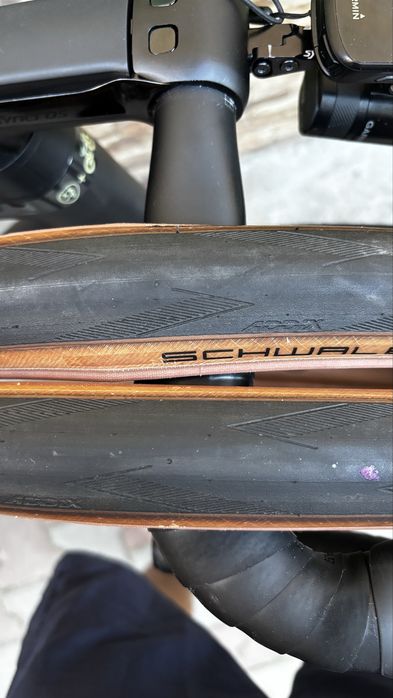 Schwalbe Pro One