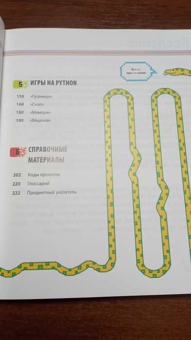 Программирование на Python. Иллюстрированное руководство для детей