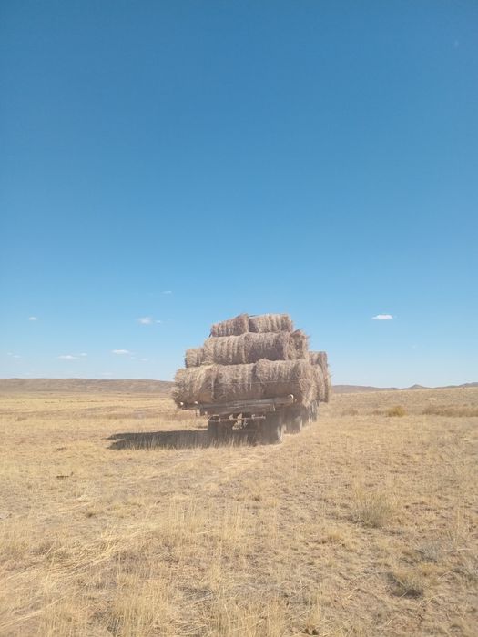 Пресс подборщик пр 145