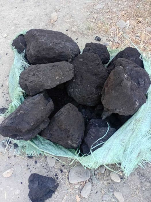 Кумир сотилади отбор